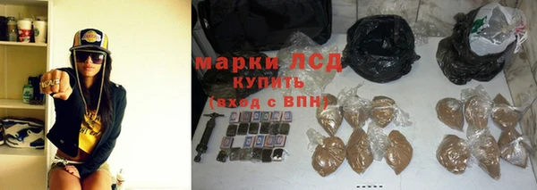шишки Алзамай