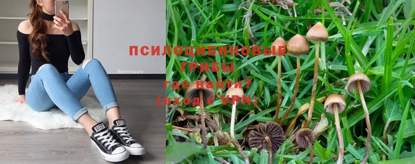 шишки Алзамай