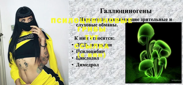 шишки Алзамай