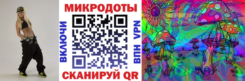 дарнет шоп  Гдов  Псилоцибиновые грибы ЛСД 