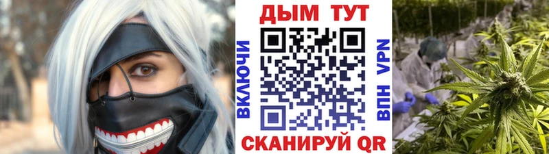 Конопля гибрид  где купить наркоту  Гдов 